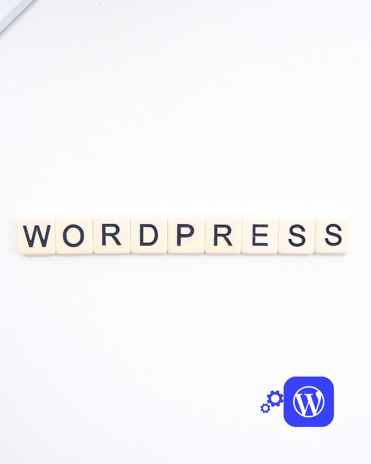 Obsługa WordPressa - Ten od WordPressa